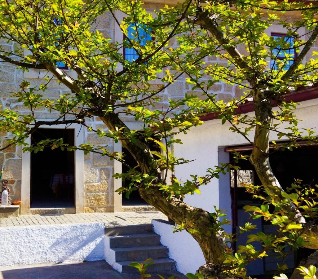 Casa D'Avo Na Villa Termas de São Pedro do Sul Bagian luar foto